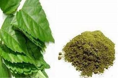 hibiscus leaf powder Hibiscus Leaf powder - Image 1