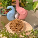 Korra karepusa - Image 2