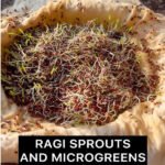 Sprouted Ragi Flour - Image 2