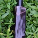 Hair Growth Oil